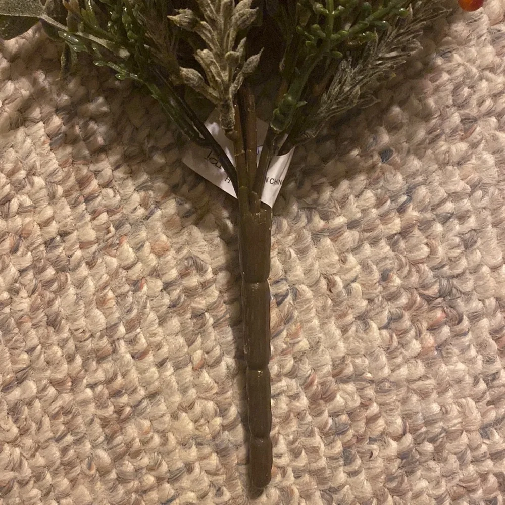 Eucalyptus Bush Rusty